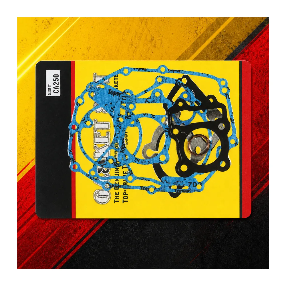 BAJAJ CT100-BM100 · ENGINE REPAIR PAD