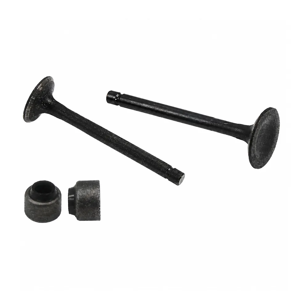 BAJAJ CT100-BM100 · VALVE SET