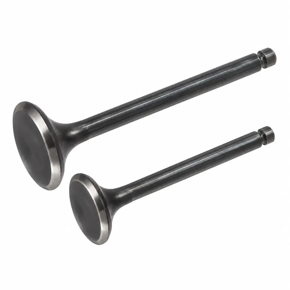 BAJAJ CT100-BM100 / BAJAJ BM125-150 · Valve Set