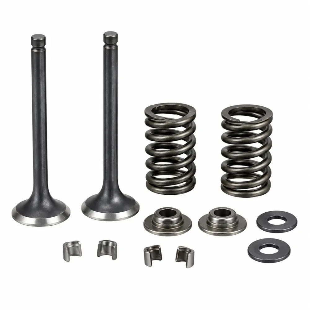 BAJAJ CT100-BM100 / BAJAJ BM125-150 · Valve Set